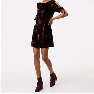 LOFT velvet dress. EUC